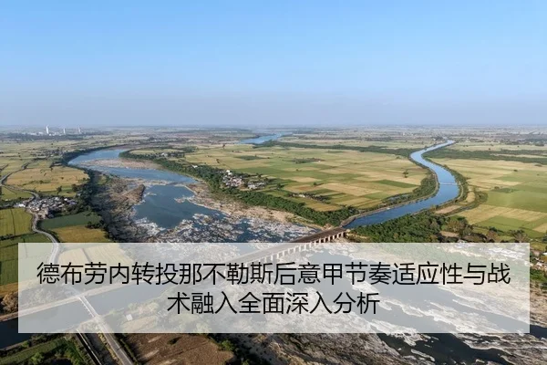 de-bu-lao-nei-zhuan-tou-na-bu-le-si-hou-yi-jia-jie-zou-shi-ying-xing-yu-zhan-shu-rong-ru-quan-mian-shen-ru-fen-xi-2-470.jpg