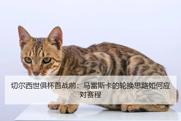 qie-er-xi-shi-ju-bei-shou-zhan-qian-ma-lei-si-ka-de-lun-huan-si-lu-ru-he-ying-dui-sai-cheng-2-548.jpg