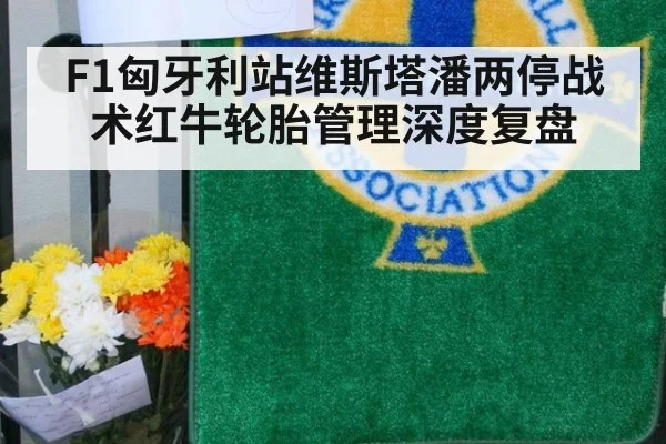 F1匈牙利站维斯塔潘两停战术红牛轮胎管理深度复盘