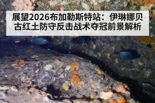 展望2026布加勒斯特站:伊琳娜贝古红土防守反击战术夺冠前景解析