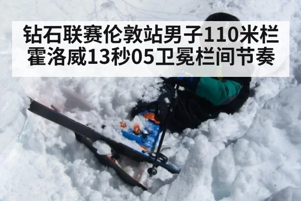 钻石联赛伦敦站男子110米栏霍洛威13秒05卫冕栏间节奏